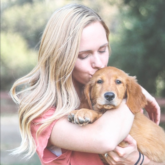 Meet your posher Shelley - Picture 1 of 5